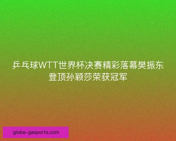 乒乓球WTT世界杯决赛精彩落幕樊振东登顶孙颖莎荣获冠军