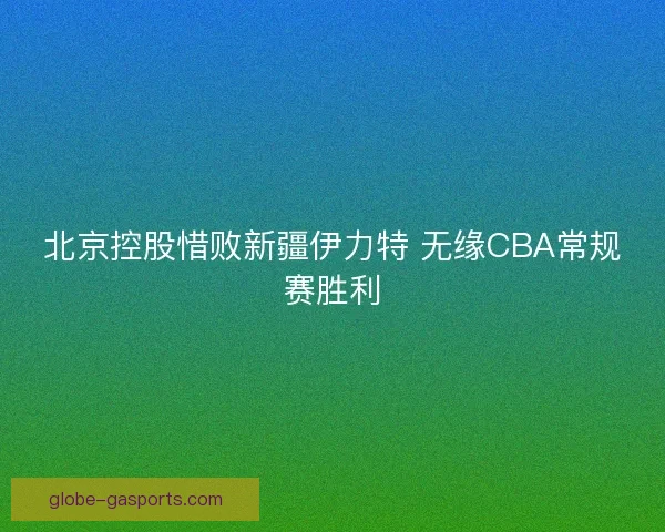 北京控股惜败新疆伊力特 无缘CBA常规赛胜利
